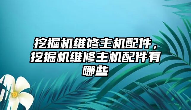 挖掘機(jī)維修主機(jī)配件，挖掘機(jī)維修主機(jī)配件有哪些