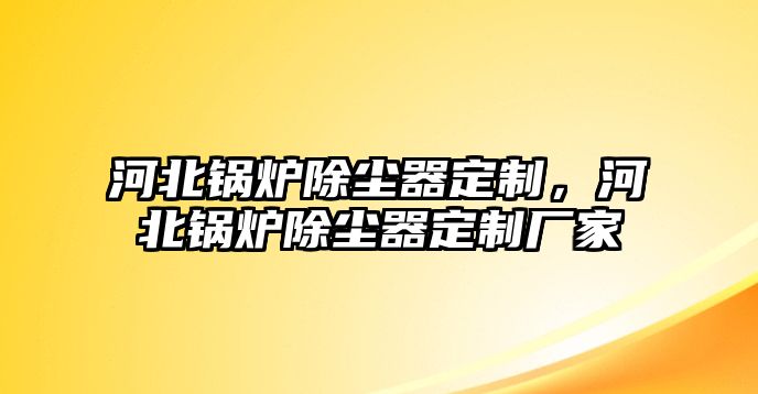 河北鍋爐除塵器定制，河北鍋爐除塵器定制廠家