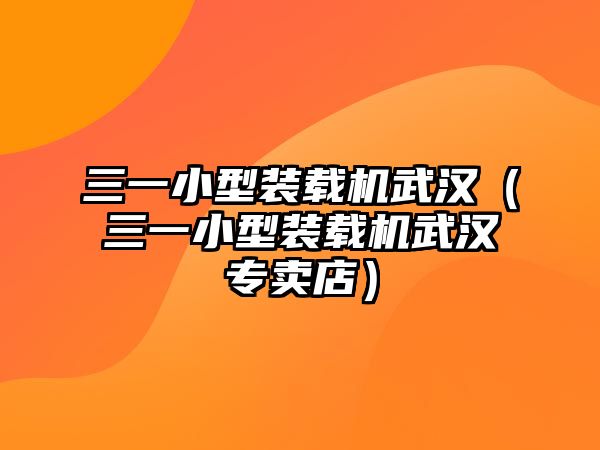 三一小型裝載機(jī)武漢（三一小型裝載機(jī)武漢專賣店）