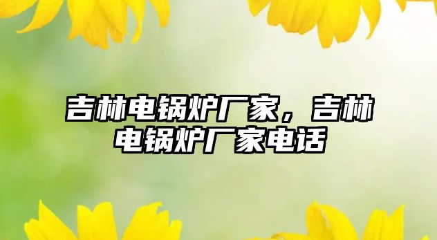 吉林電鍋爐廠家，吉林電鍋爐廠家電話