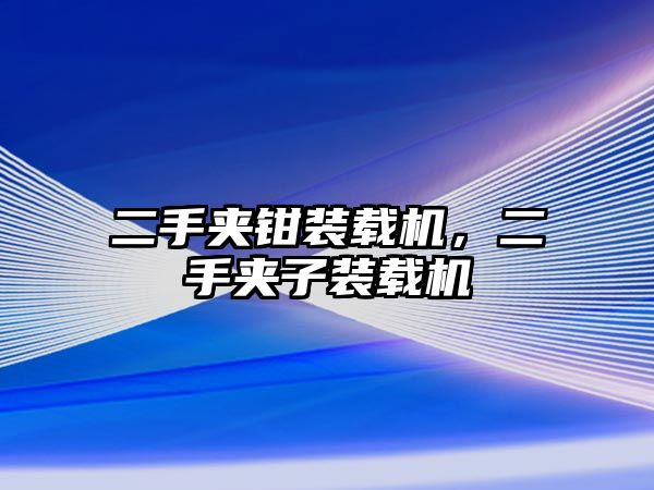 二手夾鉗裝載機(jī)，二手夾子裝載機(jī)