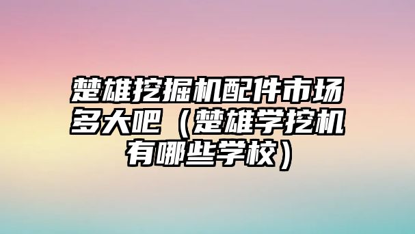 楚雄挖掘機(jī)配件市場多大吧（楚雄學(xué)挖機(jī)有哪些學(xué)校）