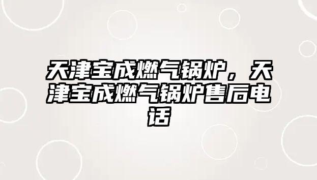 天津?qū)毘扇細(xì)忮仩t，天津?qū)毘扇細(xì)忮仩t售后電話(huà)