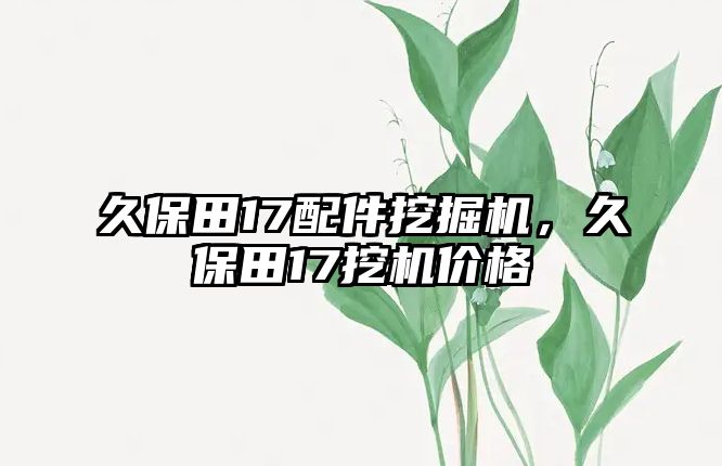 久保田17配件挖掘機(jī)，久保田17挖機(jī)價(jià)格