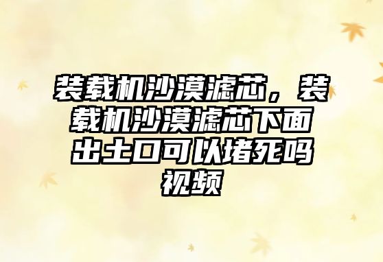 裝載機沙漠濾芯，裝載機沙漠濾芯下面出土口可以堵死嗎視頻