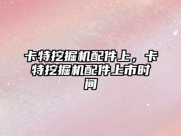 卡特挖掘機配件上，卡特挖掘機配件上市時間