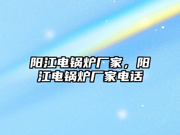 陽江電鍋爐廠家，陽江電鍋爐廠家電話