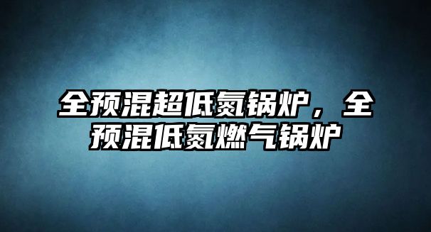 全預(yù)混超低氮鍋爐，全預(yù)混低氮燃?xì)忮仩t