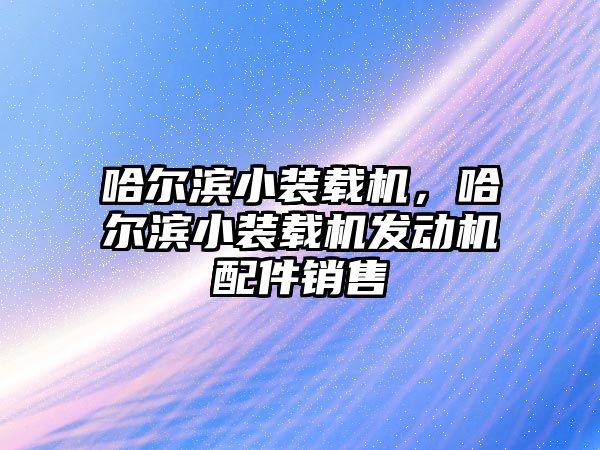 哈爾濱小裝載機，哈爾濱小裝載機發(fā)動機配件銷售