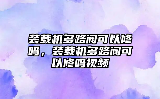 裝載機(jī)多路閥可以修嗎，裝載機(jī)多路閥可以修嗎視頻