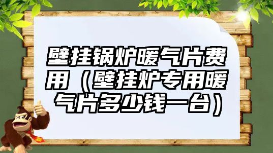 壁掛鍋爐暖氣片費(fèi)用（壁掛爐專用暖氣片多少錢一臺）