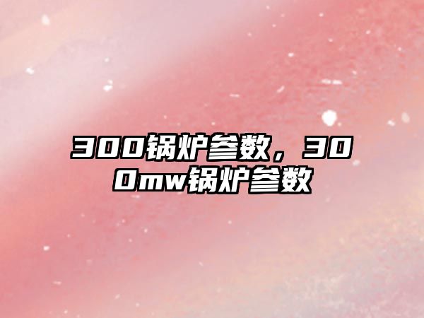 300鍋爐參數(shù)，300mw鍋爐參數(shù)