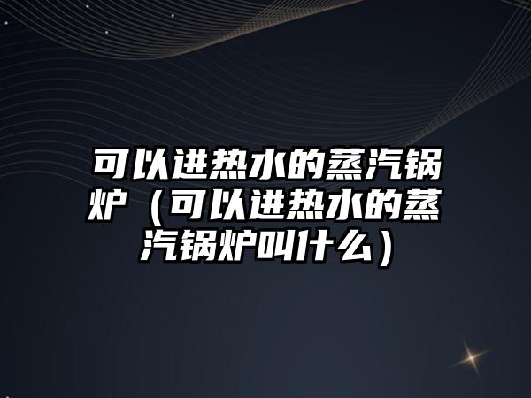 可以進熱水的蒸汽鍋爐（可以進熱水的蒸汽鍋爐叫什么）