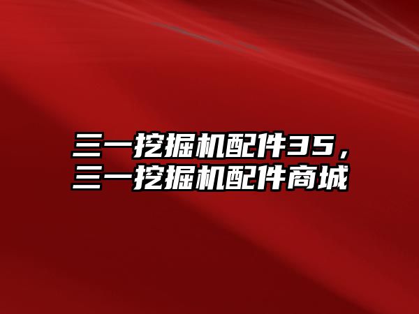 三一挖掘機配件35，三一挖掘機配件商城