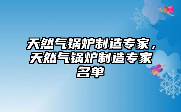 天然氣鍋爐制造專家，天然氣鍋爐制造專家名單