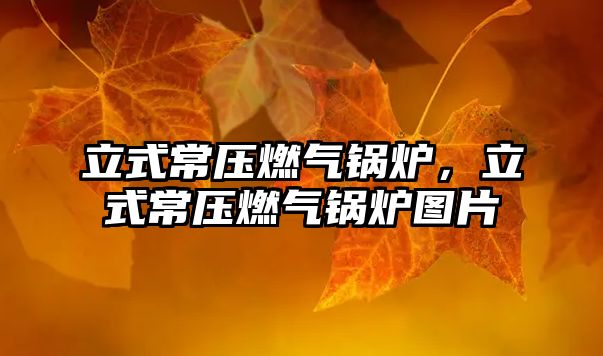 立式常壓燃?xì)忮仩t，立式常壓燃?xì)忮仩t圖片