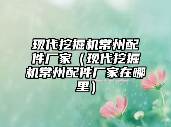 現(xiàn)代挖掘機(jī)常州配件廠(chǎng)家（現(xiàn)代挖掘機(jī)常州配件廠(chǎng)家在哪里）