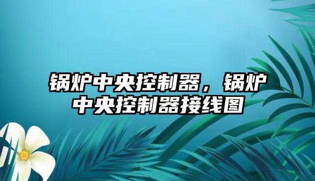 鍋爐中央控制器，鍋爐中央控制器接線圖