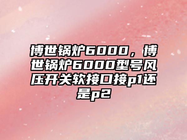 博世鍋爐6000，博世鍋爐6000型號(hào)風(fēng)壓開關(guān)軟接口接p1還是p2