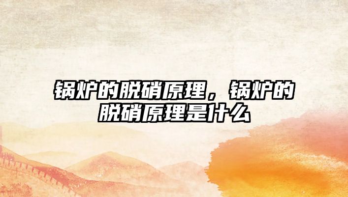 鍋爐的脫硝原理，鍋爐的脫硝原理是什么