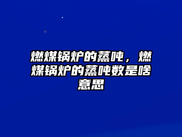 燃煤鍋爐的蒸噸，燃煤鍋爐的蒸噸數(shù)是啥意思