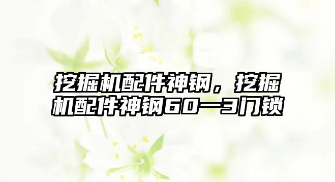 挖掘機(jī)配件神鋼，挖掘機(jī)配件神鋼60一3門鎖