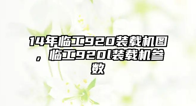 14年臨工920裝載機(jī)圖，臨工920l裝載機(jī)參數(shù)