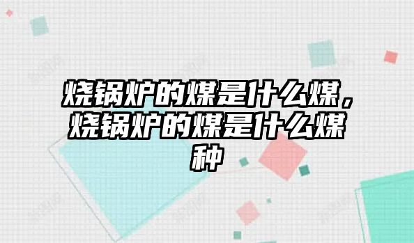 燒鍋爐的煤是什么煤，燒鍋爐的煤是什么煤種