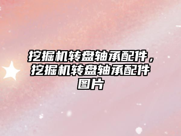 挖掘機轉(zhuǎn)盤軸承配件，挖掘機轉(zhuǎn)盤軸承配件圖片