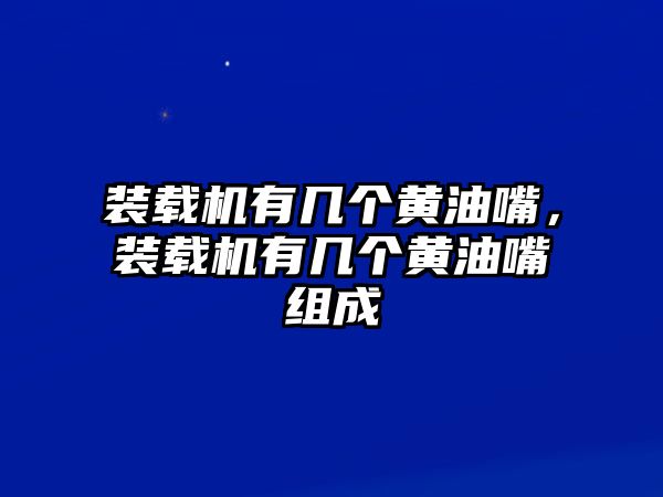 裝載機(jī)有幾個黃油嘴，裝載機(jī)有幾個黃油嘴組成