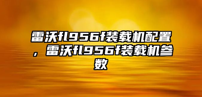 雷沃fl956f裝載機(jī)配置，雷沃fl956f裝載機(jī)參數(shù)