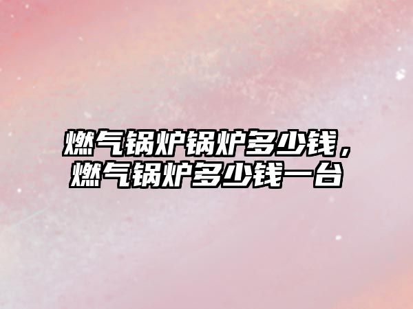 燃?xì)忮仩t鍋爐多少錢，燃?xì)忮仩t多少錢一臺(tái)