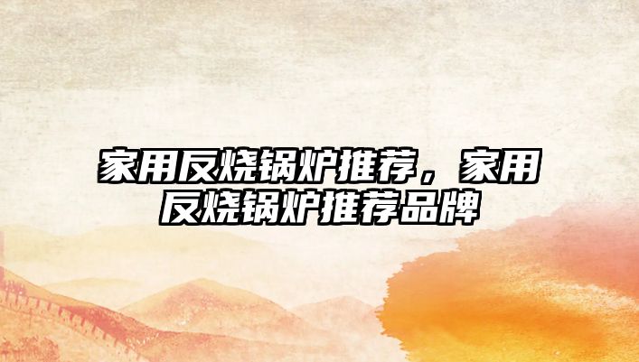 家用反燒鍋爐推薦，家用反燒鍋爐推薦品牌