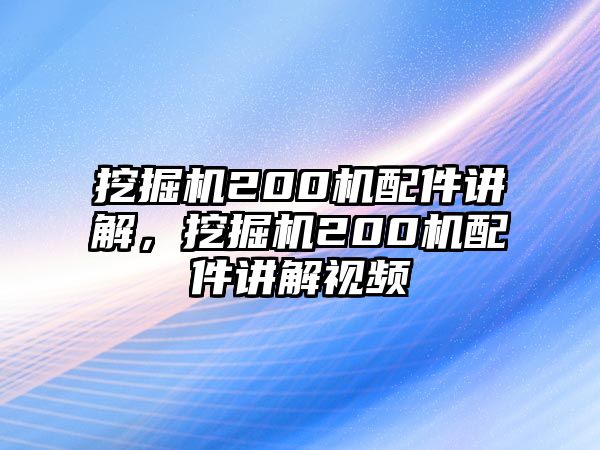 挖掘機(jī)200機(jī)配件講解，挖掘機(jī)200機(jī)配件講解視頻