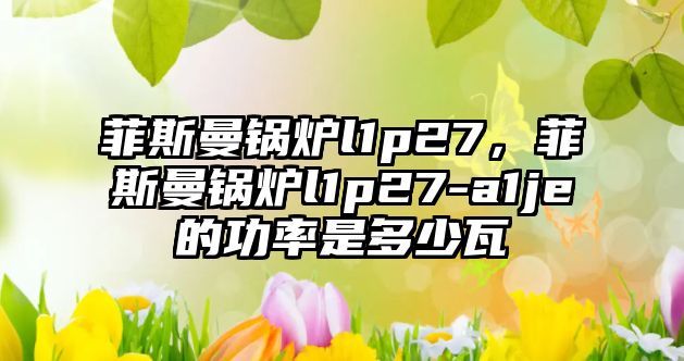 菲斯曼鍋爐l1p27，菲斯曼鍋爐l1p27-a1je的功率是多少瓦