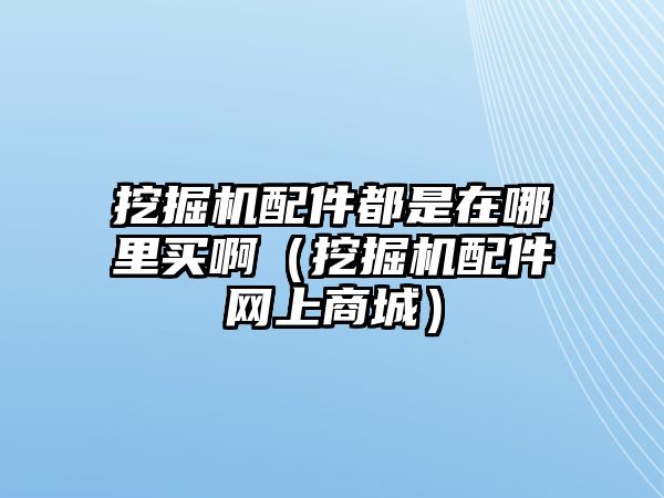 挖掘機配件都是在哪里買?。ㄍ诰驒C配件網(wǎng)上商城）