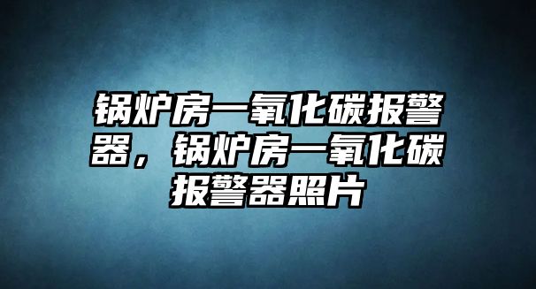 鍋爐房一氧化碳報警器，鍋爐房一氧化碳報警器照片