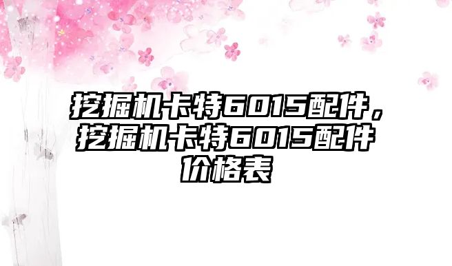 挖掘機卡特6015配件，挖掘機卡特6015配件價格表