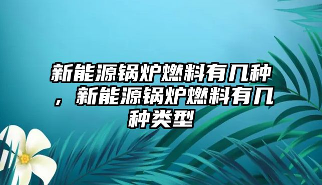 新能源鍋爐燃料有幾種，新能源鍋爐燃料有幾種類型