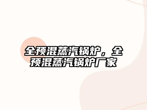 全預(yù)混蒸汽鍋爐，全預(yù)混蒸汽鍋爐廠家