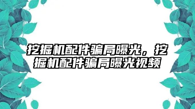 挖掘機配件騙局曝光，挖掘機配件騙局曝光視頻