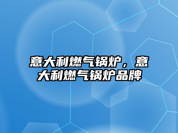 意大利燃氣鍋爐，意大利燃氣鍋爐品牌