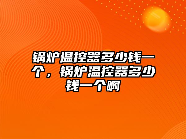 鍋爐溫控器多少錢一個，鍋爐溫控器多少錢一個啊