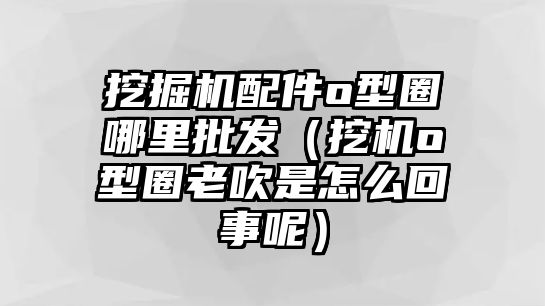 挖掘機配件o型圈哪里批發(fā)（挖機o型圈老吹是怎么回事呢）