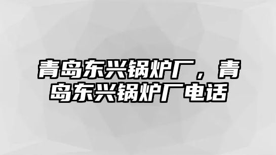 青島東興鍋爐廠，青島東興鍋爐廠電話