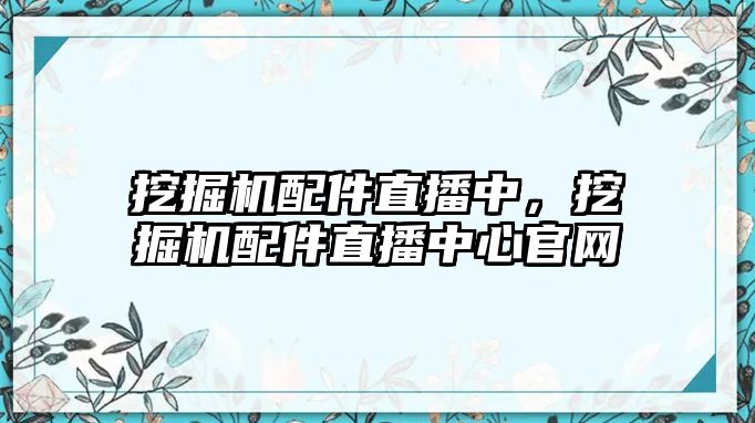 挖掘機配件直播中，挖掘機配件直播中心官網(wǎng)