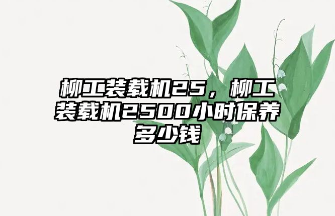 柳工裝載機(jī)25，柳工裝載機(jī)2500小時(shí)保養(yǎng)多少錢