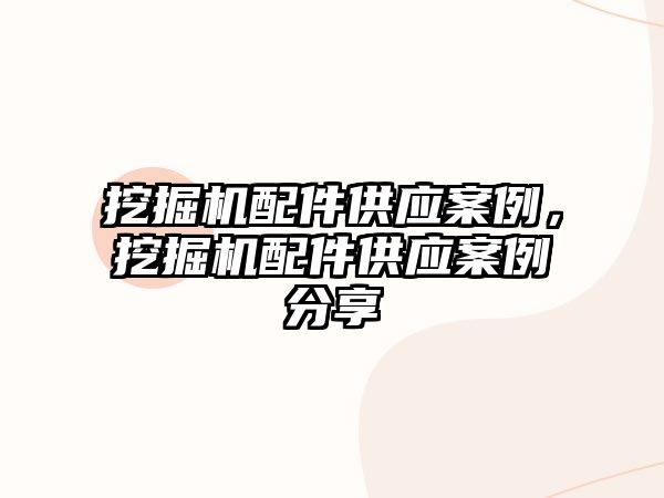 挖掘機配件供應(yīng)案例，挖掘機配件供應(yīng)案例分享