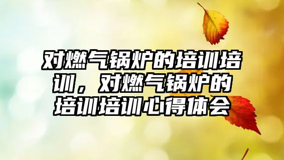 對(duì)燃?xì)忮仩t的培訓(xùn)培訓(xùn)，對(duì)燃?xì)忮仩t的培訓(xùn)培訓(xùn)心得體會(huì)