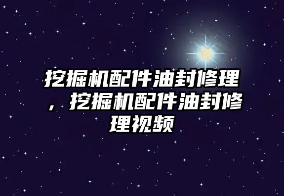 挖掘機(jī)配件油封修理，挖掘機(jī)配件油封修理視頻